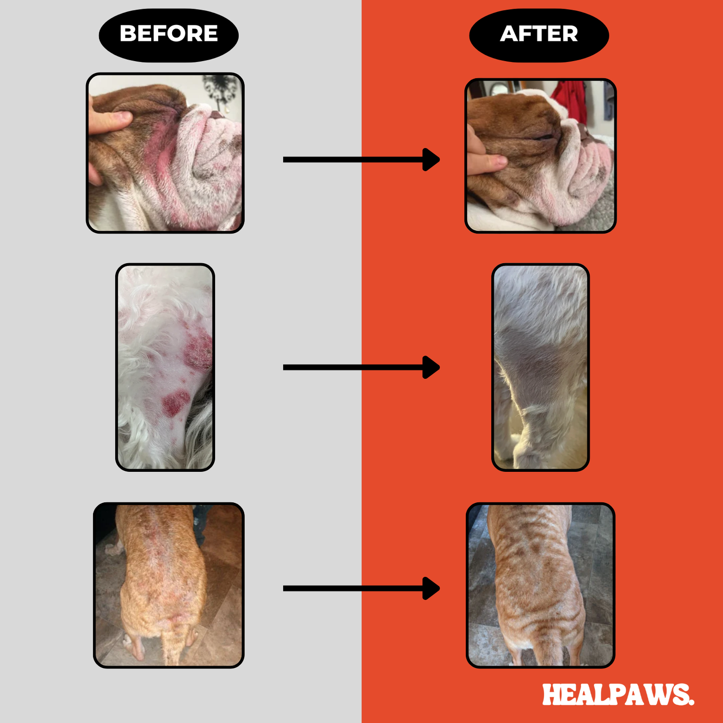 Healpaws Probiotic Powder +