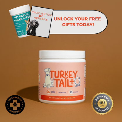 Healpaws Probiotic Powder +