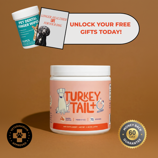 Healpaws Probiotic Powder +