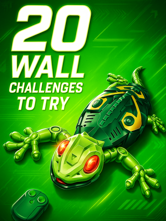 "20 Wall Challenges To Try" - Ebook